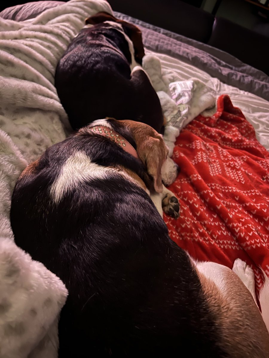 Emiley141's tweet image. 