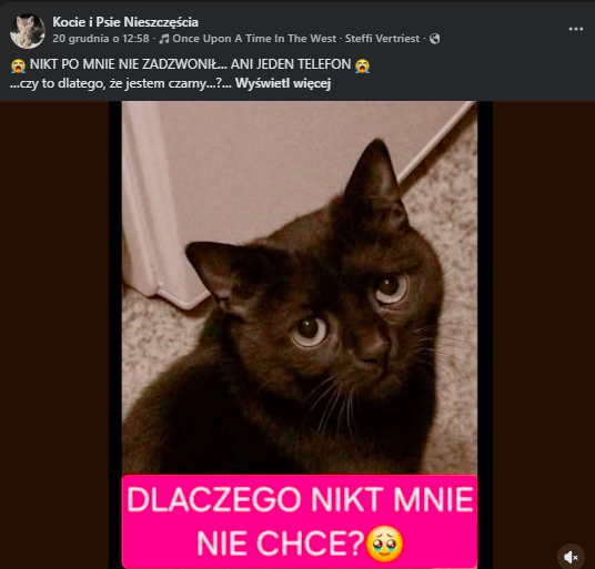 Nell tweet media