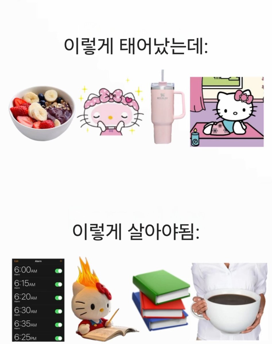 밈 번역계 tweet media