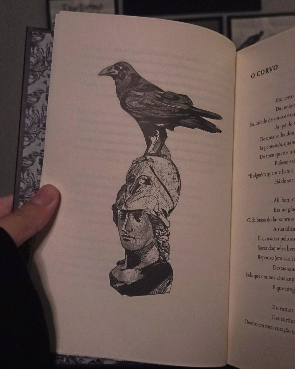 deadbanshee's tweet image. ˚⋆. 𓆩 livros lidos em 2026 𓆪 ࣪.⋆˚
 
— “what is normal for the spider is chaos for the fly.”