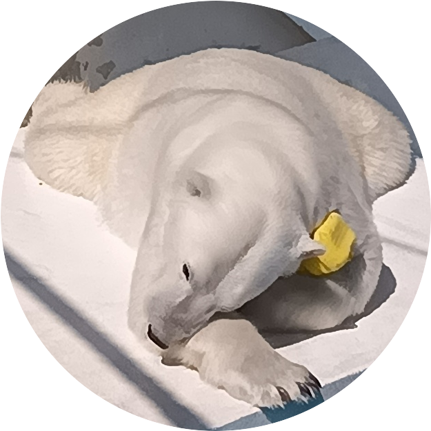 chie (@chie93730682) / Posts / X