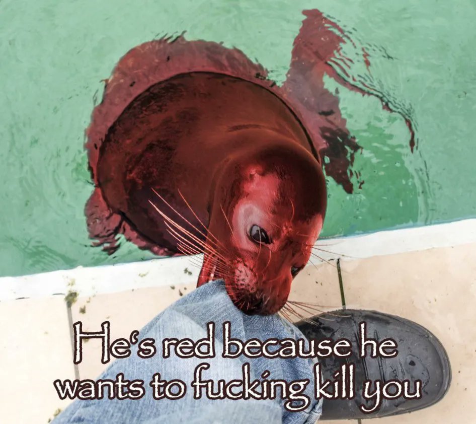 brainrotpostig's tweet image. 