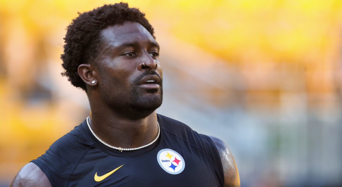 The Steelers' DK Metcalf's been suspended for 2 games and thus SIDElined for the rest of the regular season. Why? A SIDEline altercation during Sunday's game where he punched a fan. When you're playing ball, DK, put your emotions to the SIDE and focus on the game. #DKMetcalf
