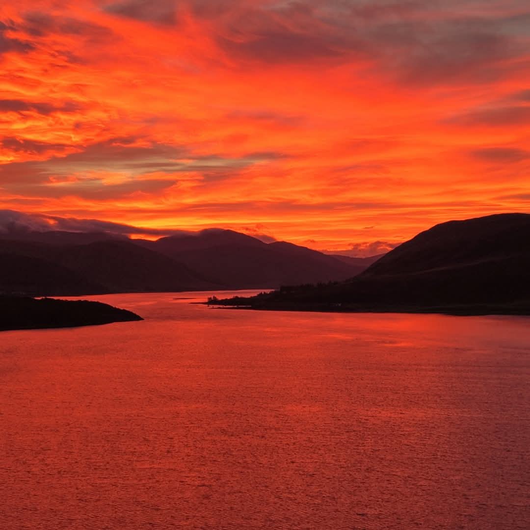 Alexander Mahoun 🏴󠁧󠁢󠁳󠁣󠁴󠁿 🇨🇦🇺🇦🦄🇬🇱 tweet media