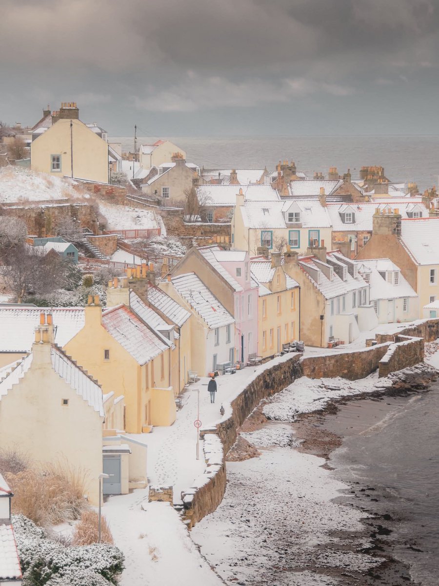 Alexander Mahoun 🏴󠁧󠁢󠁳󠁣󠁴󠁿 🇨🇦🇺🇦🦄🇬🇱 tweet media