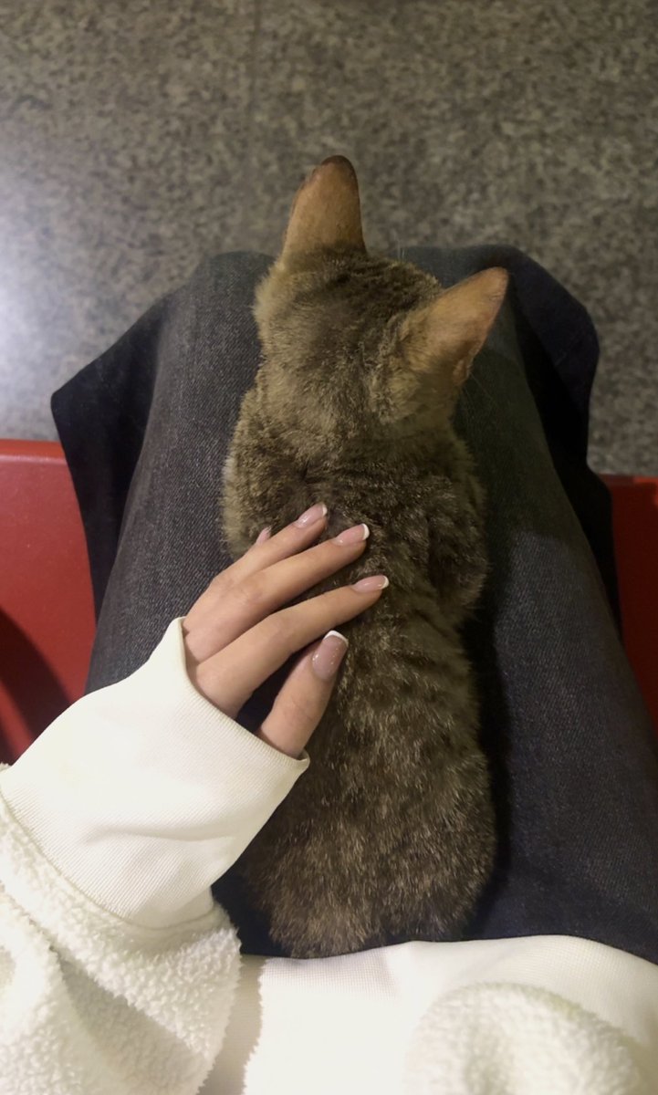 DINA 𓂆 tweet media