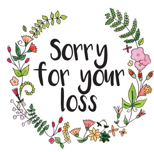 Lafurta127's tweet photo. @SarahjevsEvans https://t.co/UBFajT8tWL