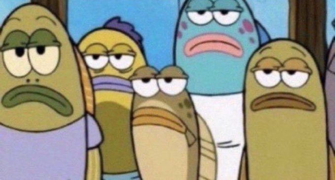 <a href="/DjCoachrsa/">DJ Coach</a> The reason why you don't have plate numbers on your content is because we'd already know the real owner of the cars and house