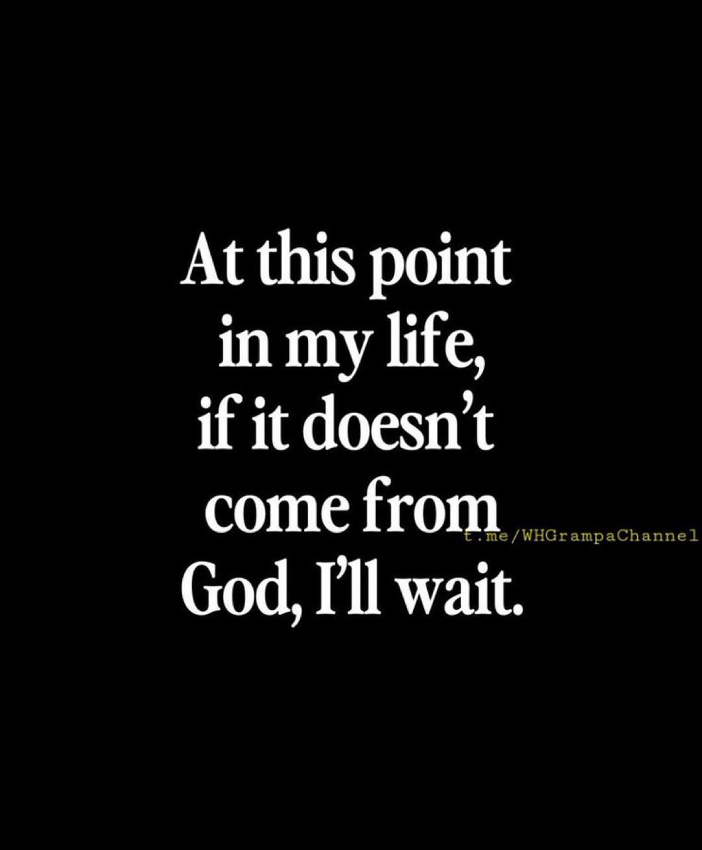 GilaJed7n's tweet image. 