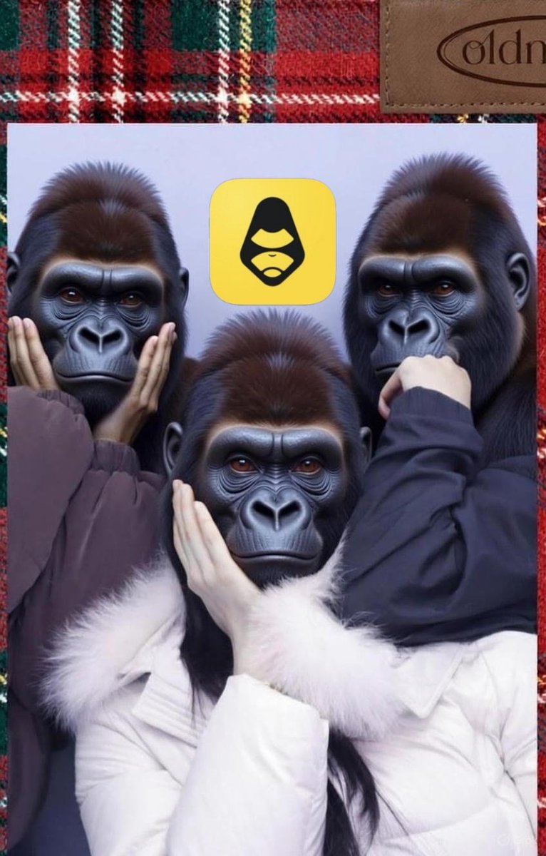 safex 인기 코인💯safex.vip