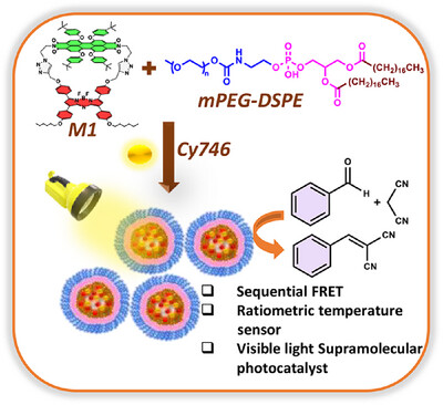 AggregateOA's tweet image. "Multichromophoric #Macrocycle #Nanoparticles for Mitigating Cyanine Limit and Efficient Aqueous #Photocatalysis via Sequential Energy Transfer" by Vidushi Gupta and Sanchita Sengupta @ssglabiiserm @Wiley_Chemistry #supramolecular #FRET
Check👉doi.org/10.1002/agt2.7…