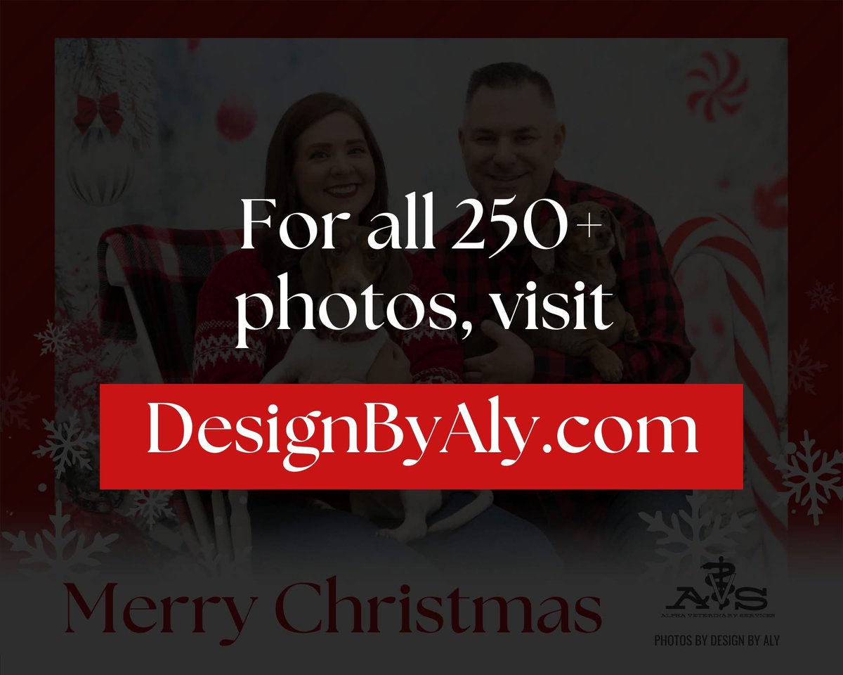 DesignByAly's tweet photo. Pet photos with The Grinch are UP on our website! There are 250+ photos, below are a few sneak peeks. Thanks to everyone that came out to Alpha Veterinary Services this year!

📷 VIEW ALL PHOTOS https://t.co/AiFauWwuxw https://t.co/fXHHj4hZXB