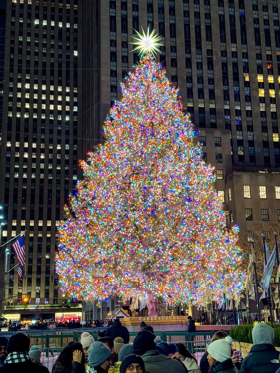 毎年どこかの森から巨大な生のもみの木が運ばれてくるのです🎄