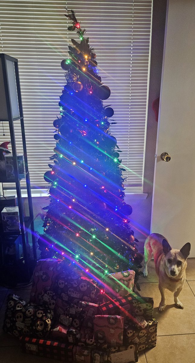 NeverEnoughCaffeine ☕️🎃 tweet media