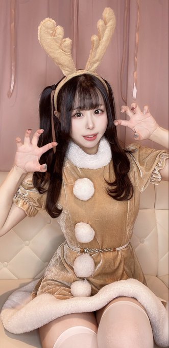 Dolly Catsのツイート