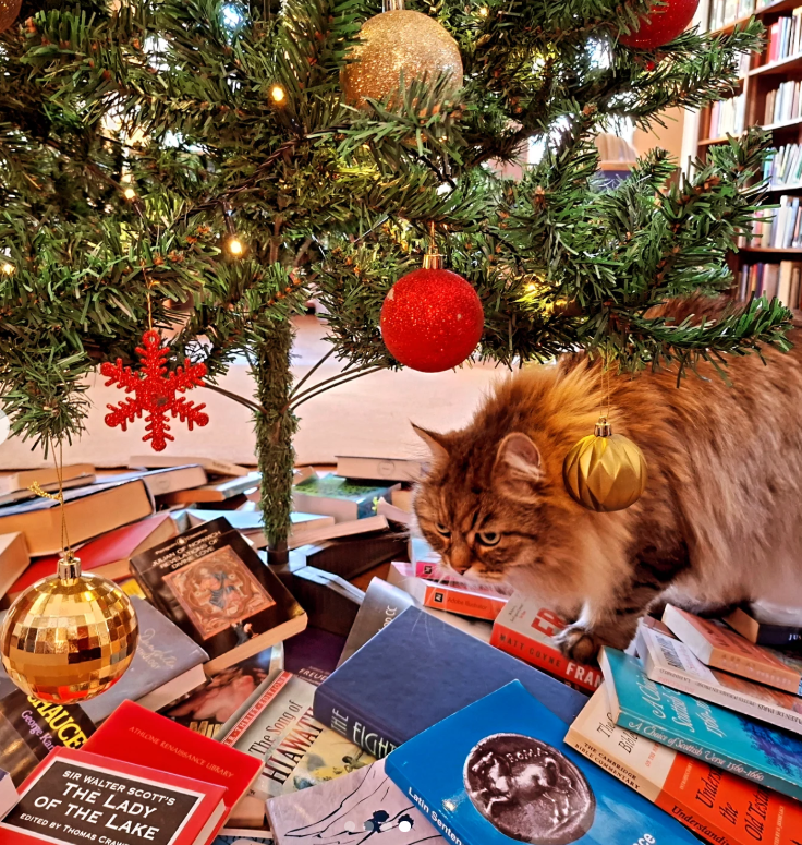 CatsShelf's tweet photo. Lady Margaret Hall
Oxford, UK
#librarycats https://t.co/jjEu4m1d38