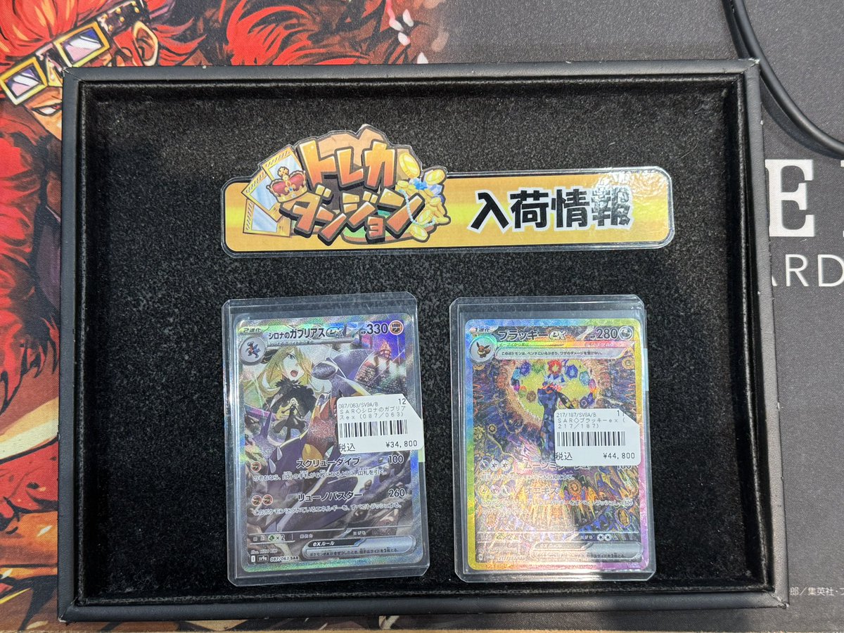 ポケモンカード 🔥入荷情報🔥 シロナのガブリアスex SAR （087/063
