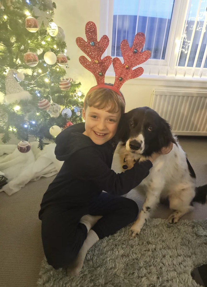 NiallHarbison's tweet image. On the 27th Feb this year I found Panda outside a 7/11 in Thailand. He was hours from death covered in leaches. 

He spent 2 weeks in hospital in intensive care clinging to life. 

We loved him and were sad to see him go but he was adopted in Scotland. Panda is healthy and loved…