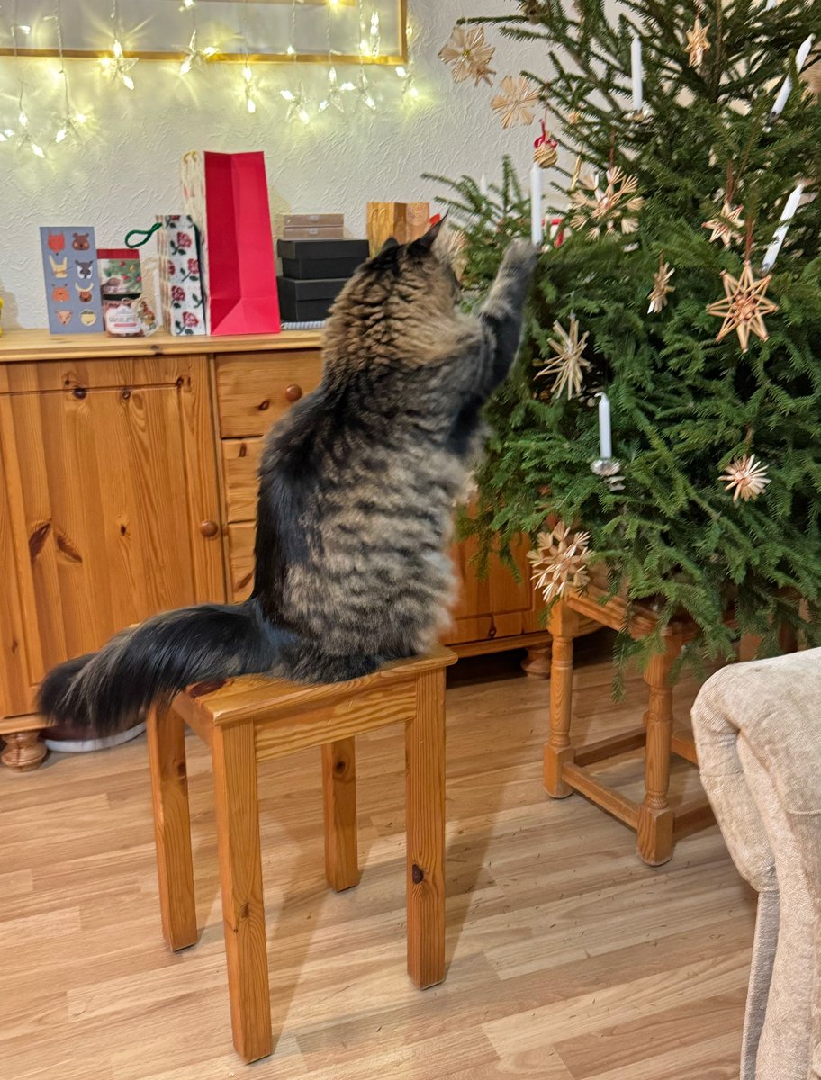 Nu ko, vai svētkiem gatavi?
Es tikai drusku eglīti pielabošu...