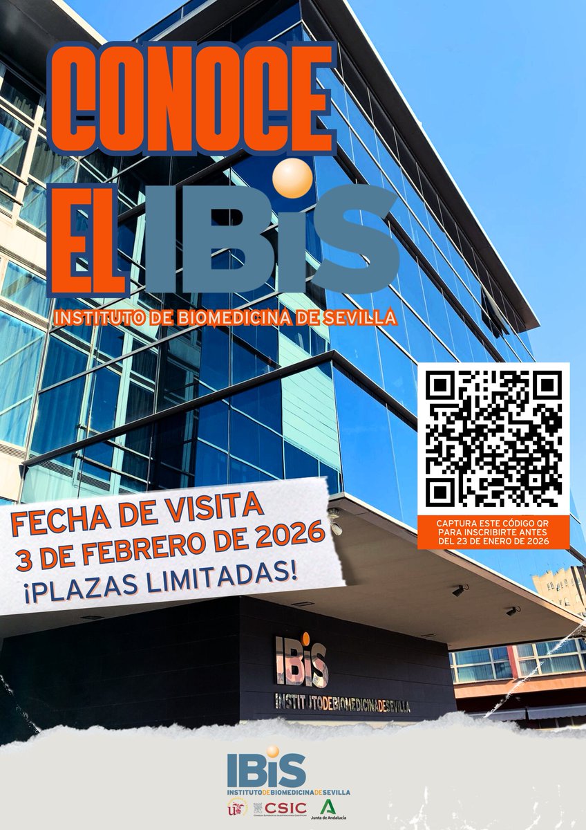 IBiS tweet media