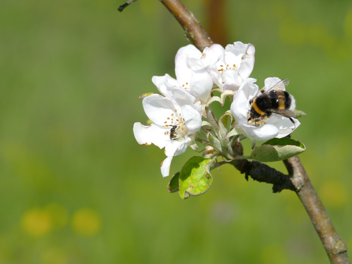 Onda Cero Gijón tweet media