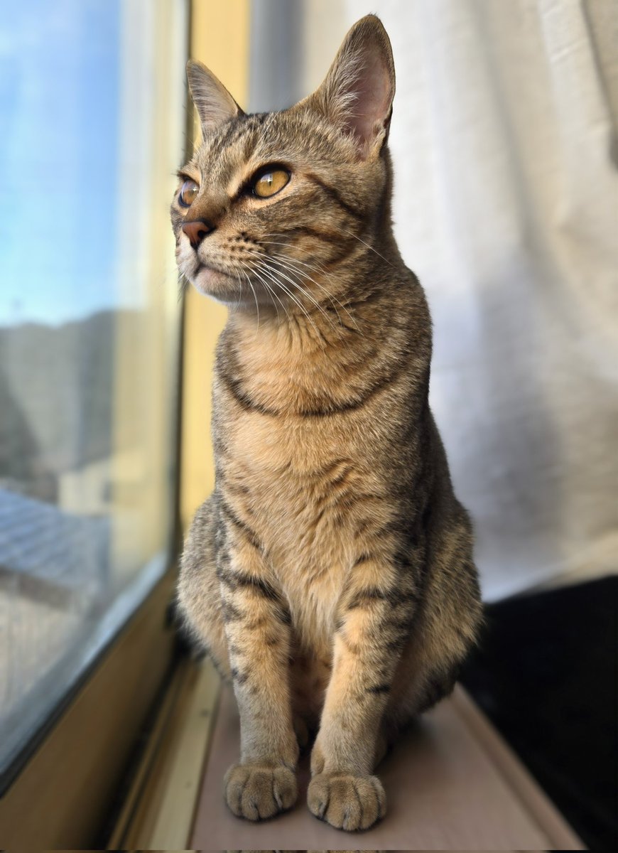 まるママ (@maruchannel0820) / Posts / X