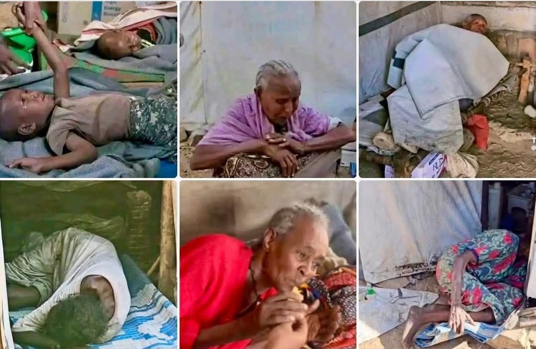 Dereje Gerefa Tullu 🇪🇹 tweet media