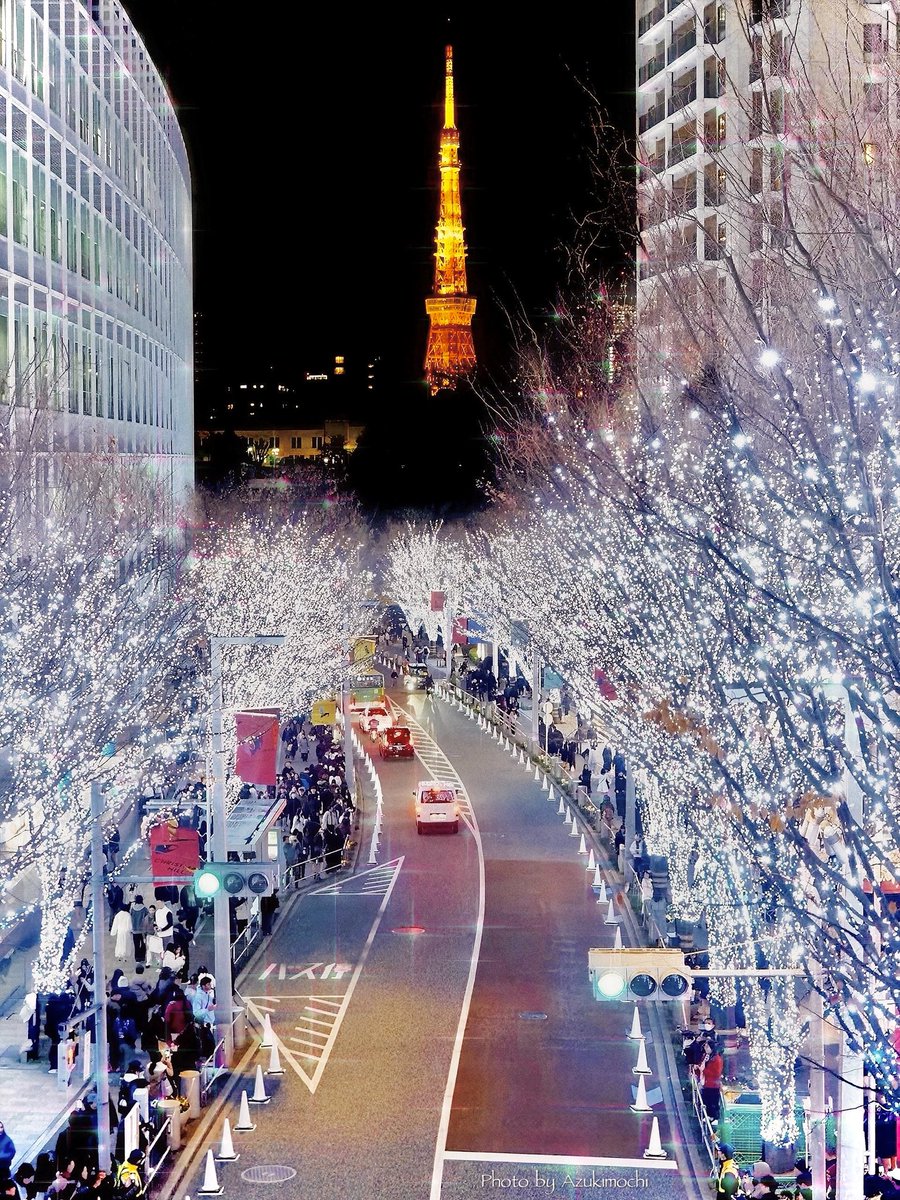 クリスマスイルミネーションがXで輝く冬の風物詩