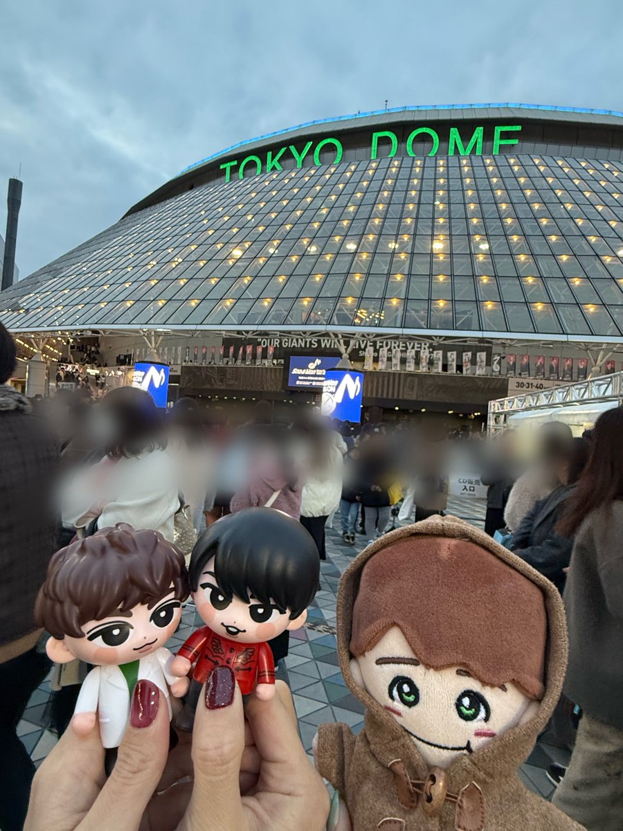 あんず❤️💚🍮🍛 (@anzu89) / Posts / X