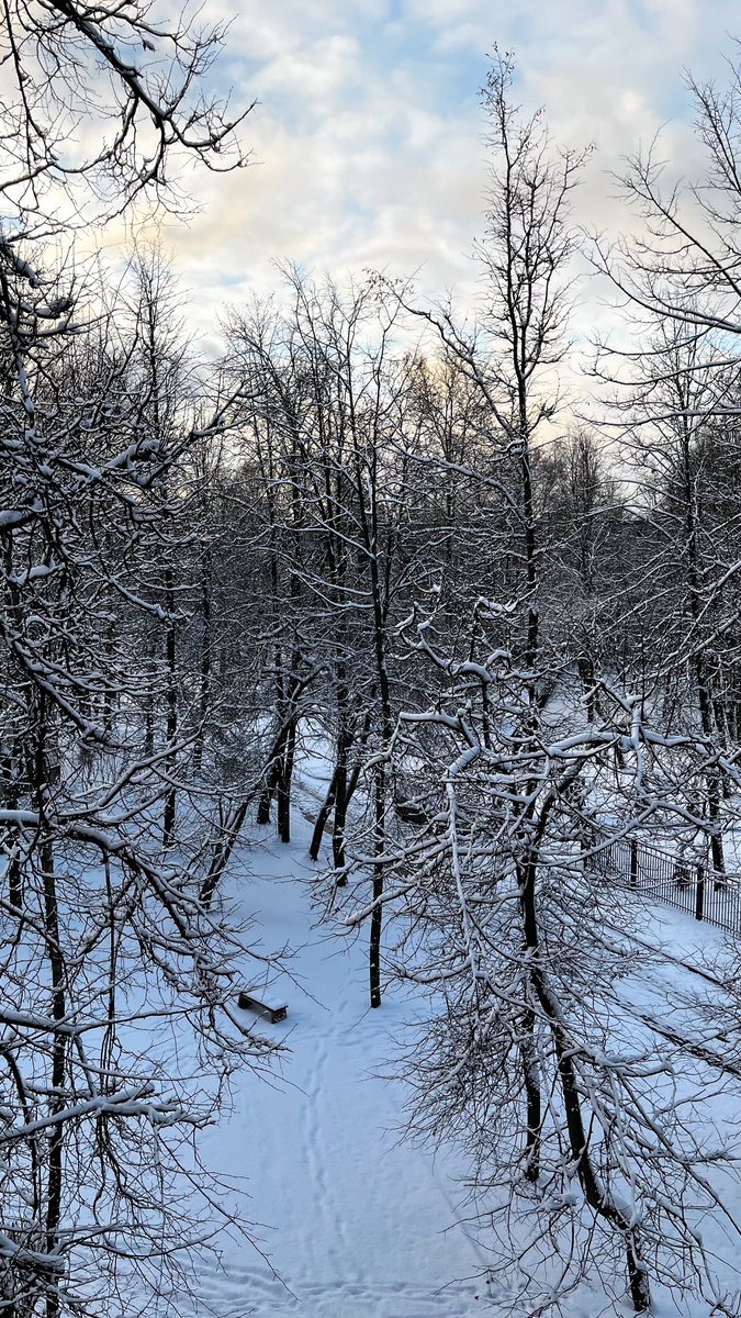 Чокопаинька tweet media