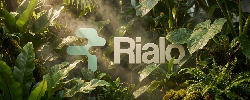 🎯  When staking stops being locked capital <a href="/RialoHQ/">Rialo</a> 

🧱 Funds are locked for security &amp; yield

💸 Gas, storage, execution = paid separately

➡️ Capital is stuck

➡️ Usage still costs money

➡️ Scalability suffers

⚙️ Rialo’s Stake-for-Service (SfS)

🔁 Staking rewards auto-pay
