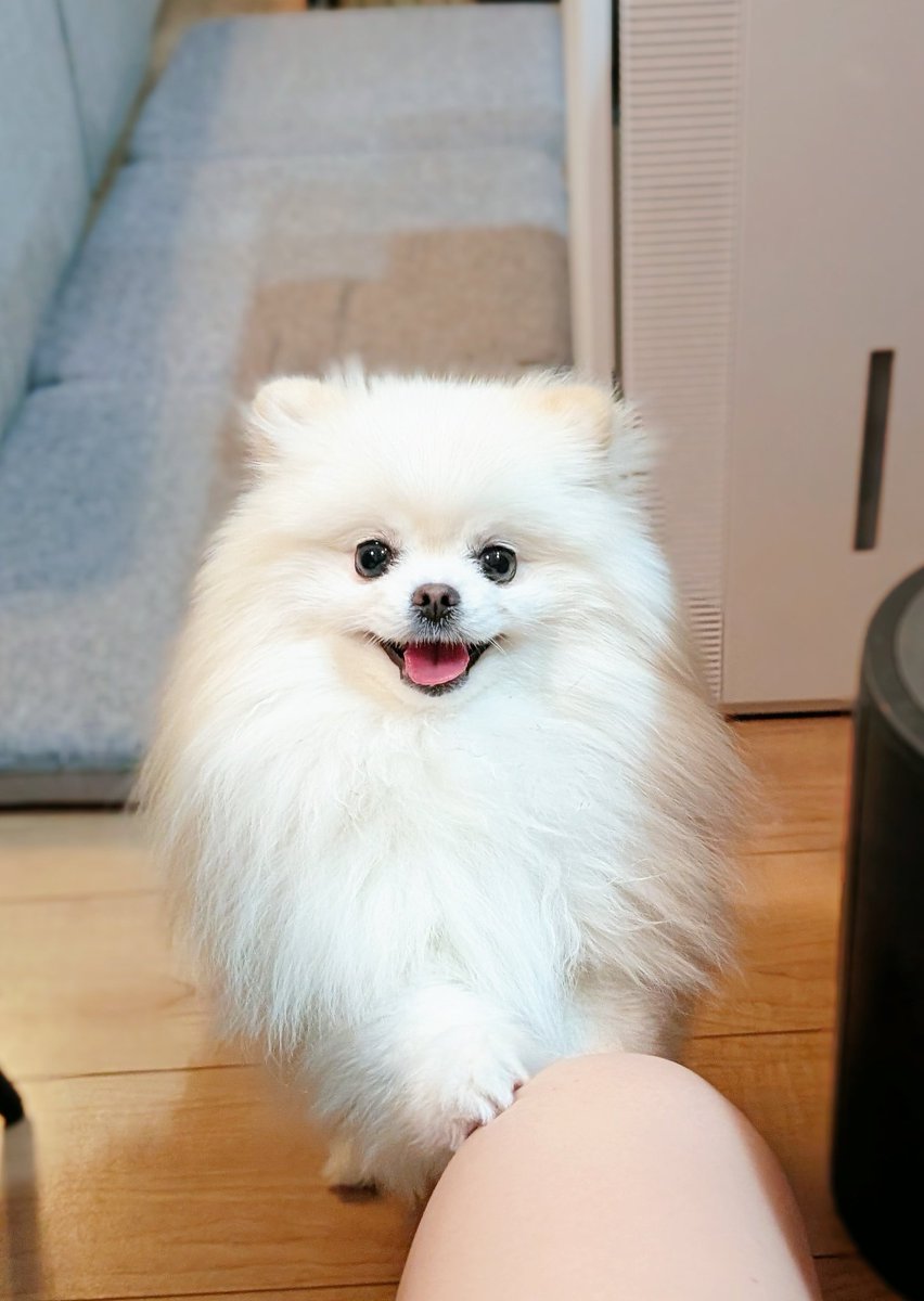 おこめ屋 (@chimaki0328) / Posts / X