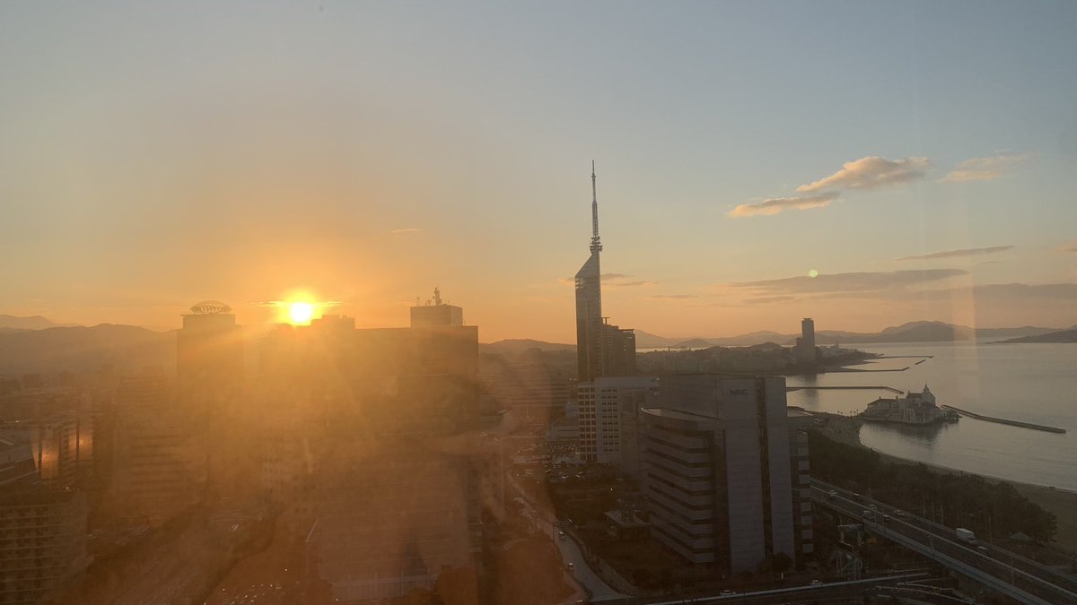 Mikołaj Sedziak tweet media