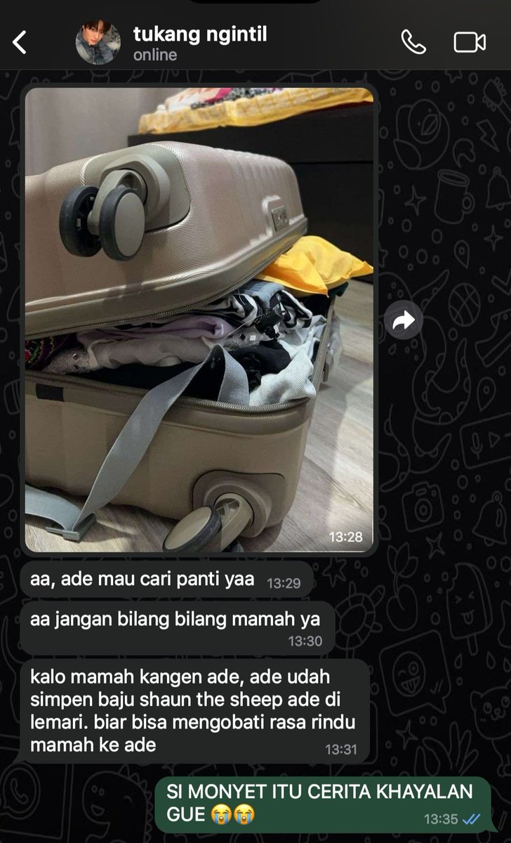 writteinn's tweet image. keonho cortis and haechan nct as siblings 
few tweets au