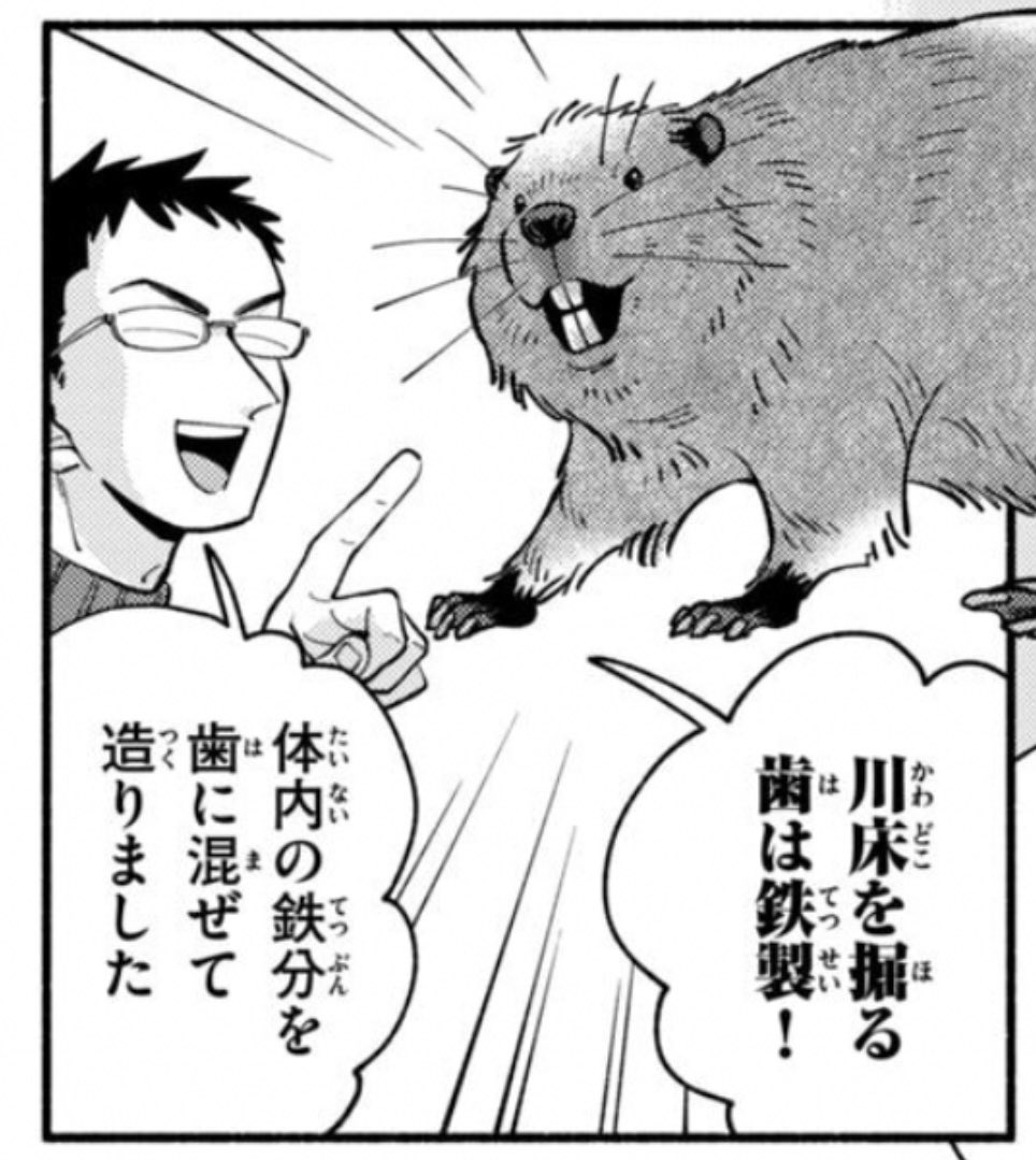 蛇蔵「天デ部」9巻発売中 tweet media