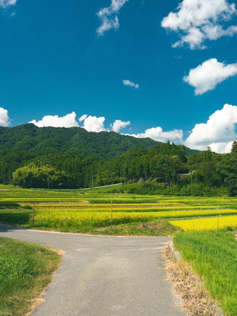 YutoPhotography's tweet image. 三重県で見つけたアニメのような風景