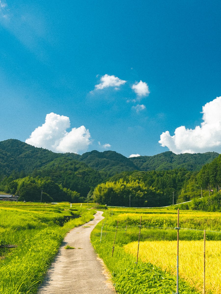 YutoPhotography's tweet image. 三重県で見つけたアニメのような風景