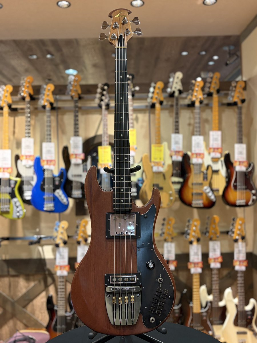 bass オベーション　マグナム　ovation 本日限定価格 magnum Ⅳ