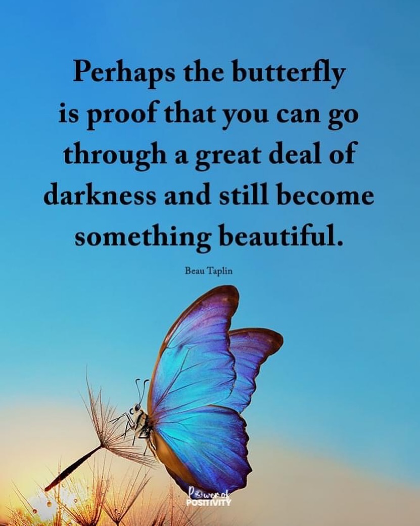 LIVEpositivity's tweet image. Perhaps the butterfly is proof that you can go through a great deal of darkness and still become something beautiful. 🦋💫