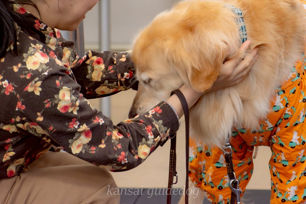 【引退式】
先日1頭の盲導犬が引退し、協会に帰ってきました。
「たくさんこの子と会話をしました」
様々な場所に一緒に出かけた思い出を大切そうに話してくださったユーザーさん。愛情あふれる素敵な式となりました。
互いに家族として支え合ったふたりに、職員は感謝と敬意の気持ちでいっぱいです。