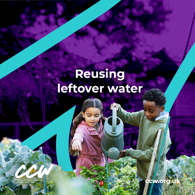 CCWvoice's tweet image. Amid all the hustle and bustle of Christmas and New Year, it’s easy for perfectly good water to be overlooked and poured away. 🎄💧