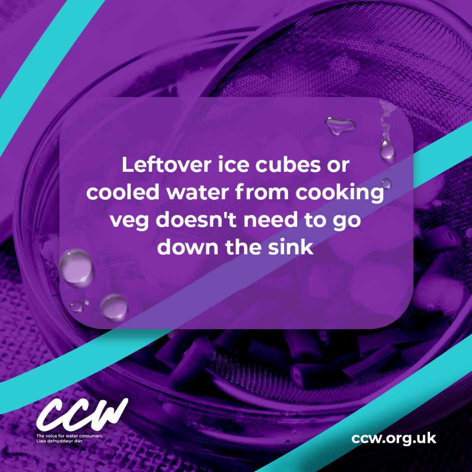 CCWvoice's tweet image. Amid all the hustle and bustle of Christmas and New Year, it’s easy for perfectly good water to be overlooked and poured away. 🎄💧