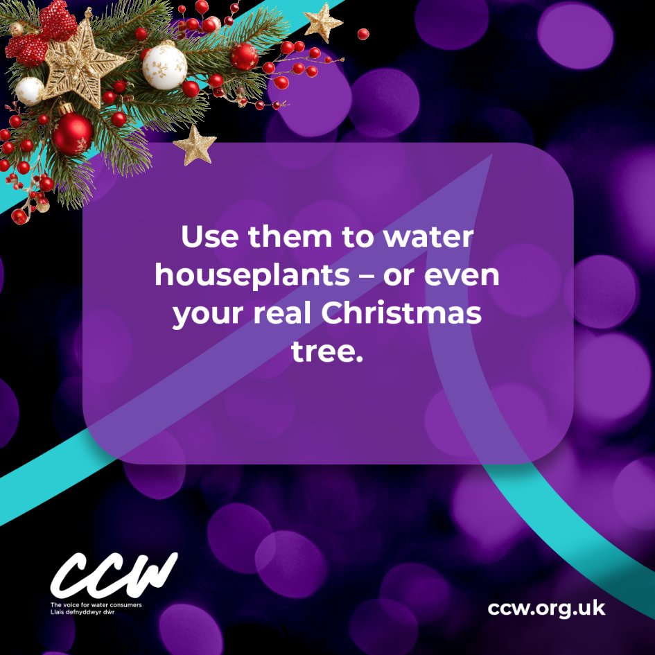 CCWvoice's tweet image. Amid all the hustle and bustle of Christmas and New Year, it’s easy for perfectly good water to be overlooked and poured away. 🎄💧