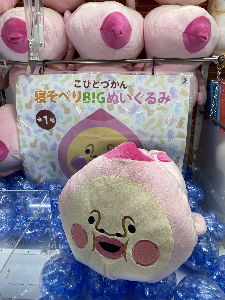 ✨アミューズ入荷景品✨ こびとづかん寝そべりBIGぬいぐるみ 入荷しま