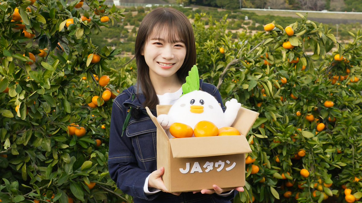 番組情報 #ゆるふわたいむ / #秋元真夏 さんが静岡みかんを取材🍊💕 第