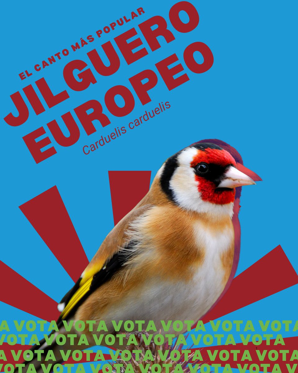 SEO/BirdLife tweet media