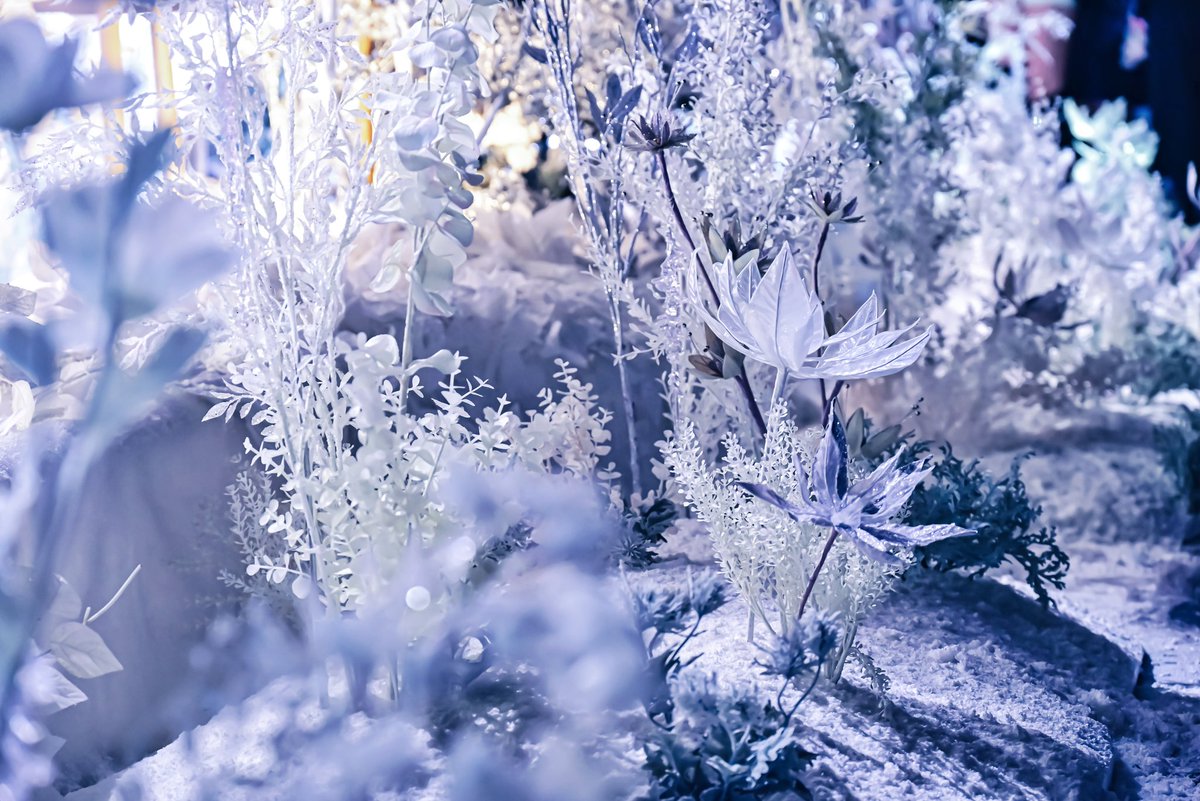 Luna⭐︎さん専用ページ lunaさん専用 ルナ専用 ✨️luna✨️ Luna ZX