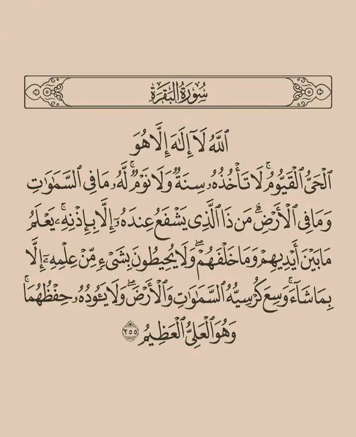 #فرز_نشط (@lffllj) on Twitter photo 