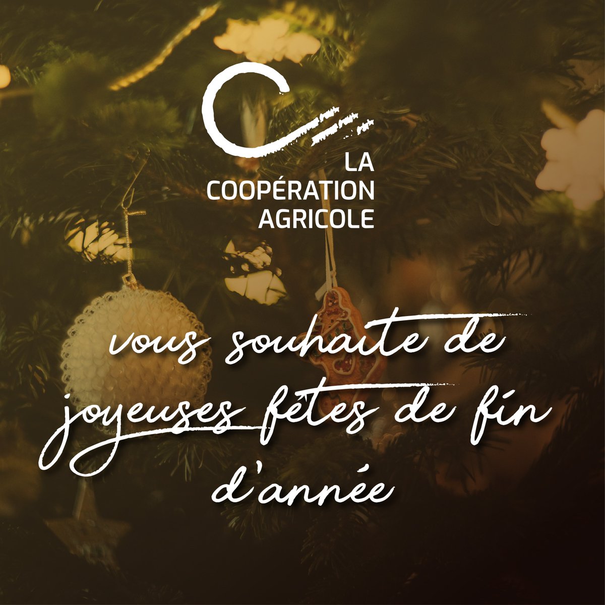 lacoopagricole's tweet photo. Très belles fêtes de fin d'année !

Nous remercions toutes les coopératives et nos soutiens qui nous permettent de porter haut et fort les valeurs coopératives 😍

Pensez aux produits coopératifs pour vos fêtes de fin d'année. Près de la moitié de nos rayons en sont remplis 🥳🤩 https://t.co/j9LcRzAV48
