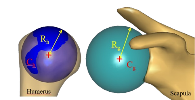 AnyBodyTechnology tweet media